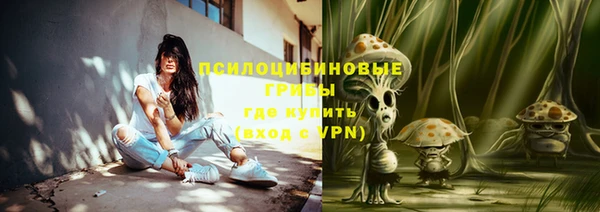 гидра Аркадак