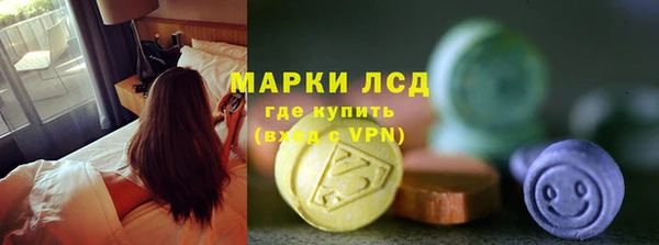 прущие грибы Балабаново