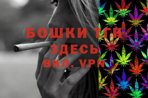 твердый Арсеньев