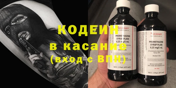 твердый Арсеньев