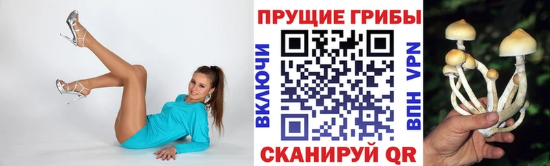 Галлюциногенные грибы Psilocybe  Няндома 