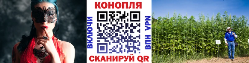 Шишки марихуана сатива  Няндома 